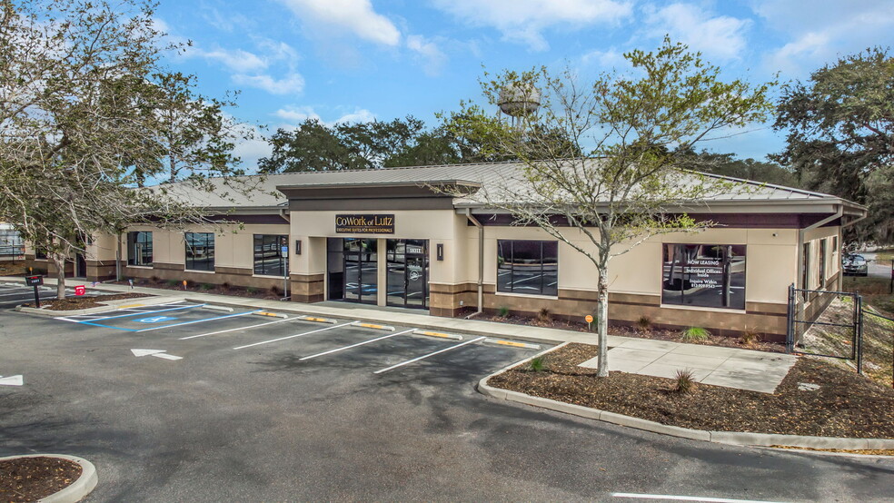 18311 N US Highway 41, Lutz, FL en venta - Foto del edificio - Imagen 1 de 23