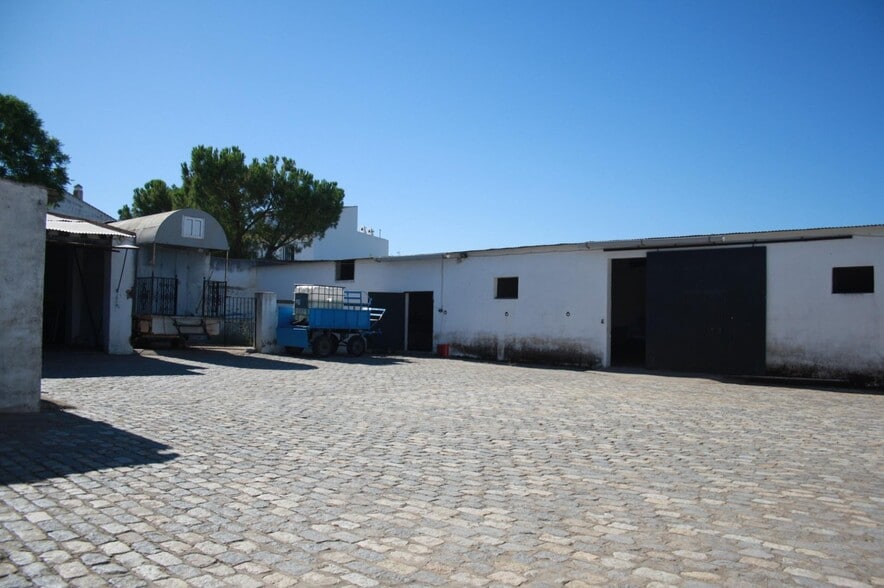 Terreno en Carrión de los Céspedes, Sevilla en venta - Foto del edificio - Imagen 3 de 10