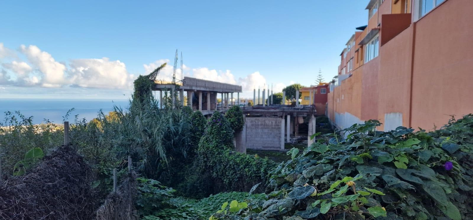 Terreno en Firgas, Las Palmas en venta Foto del edificio- Imagen 1 de 11