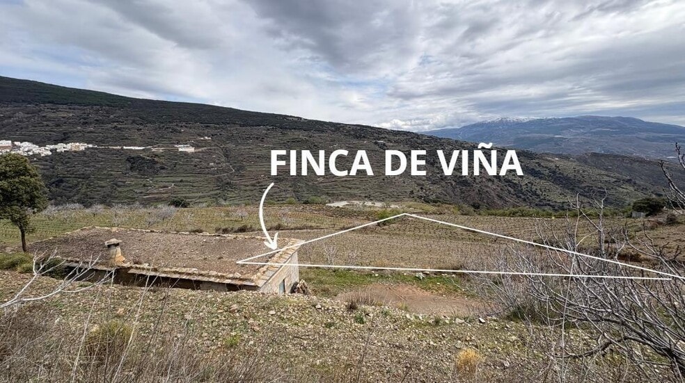 Diseminado Extrarradio, 14, Ugíjar, Granada en venta - Vista aérea - Imagen 1 de 20