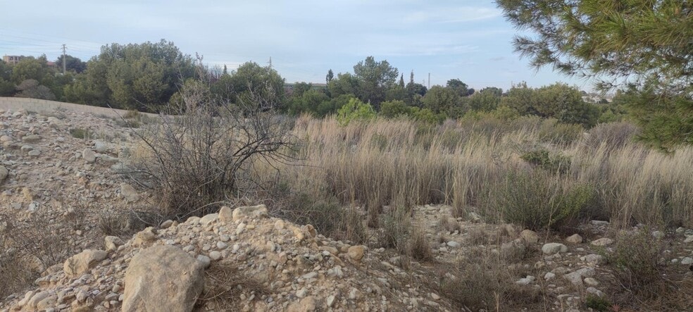 Parcela, 184, Elche, Alicante en venta - Foto principal - Imagen 1 de 14
