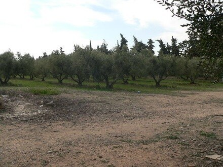 Terreno en Cambrils, Tarragona en venta - Foto del interior - Imagen 3 de 8