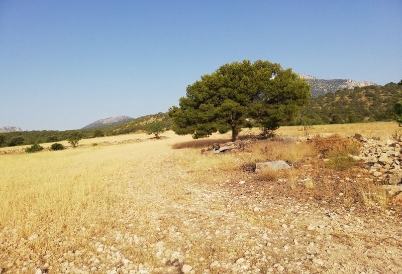 Aguica, 80, Lorca, Murcia en venta - Foto principal - Imagen 1 de 6