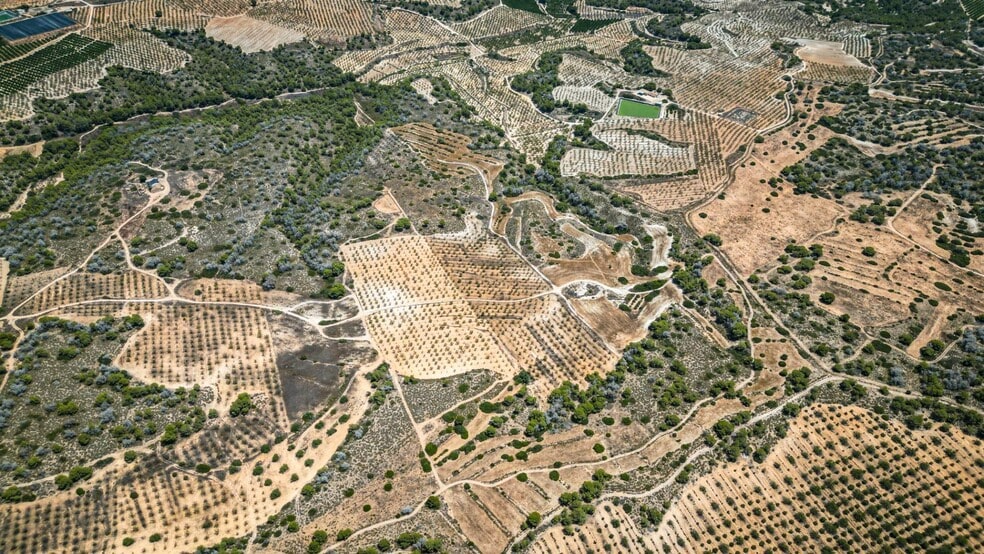 Polígono Pp Zb, 16, Murcia, Murcia en venta - Vista aérea - Imagen 2 de 6
