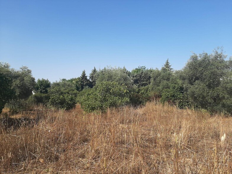 Terreno en Casas de Don Antonio en venta - Foto del edificio - Imagen 3 de 12