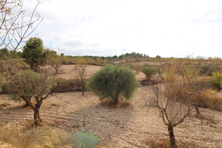 Terreno en Hondón de los Frailes, Alicante en venta - Foto del edificio - Imagen 2 de 2