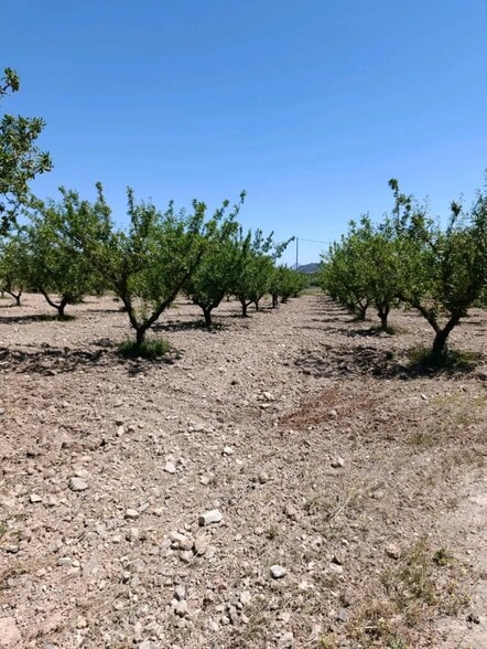 Terreno en Cehegín, Murcia en venta - Foto del edificio - Imagen 2 de 12