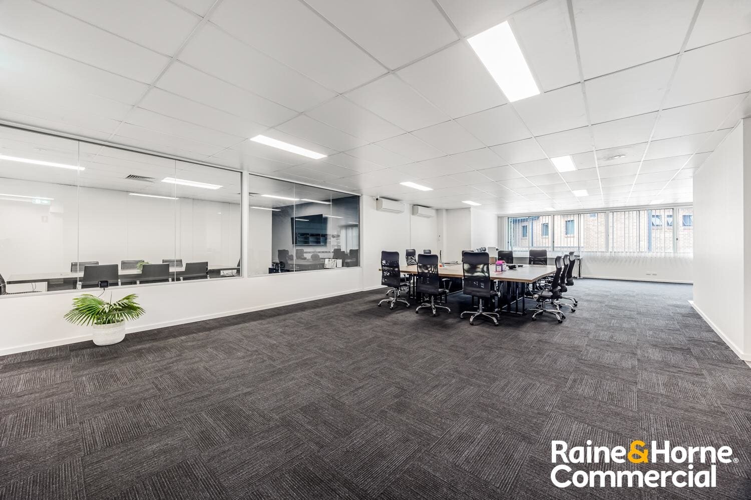 752 Parramatta Rd, Lewisham en alquiler Foto del interior- Imagen 1 de 6