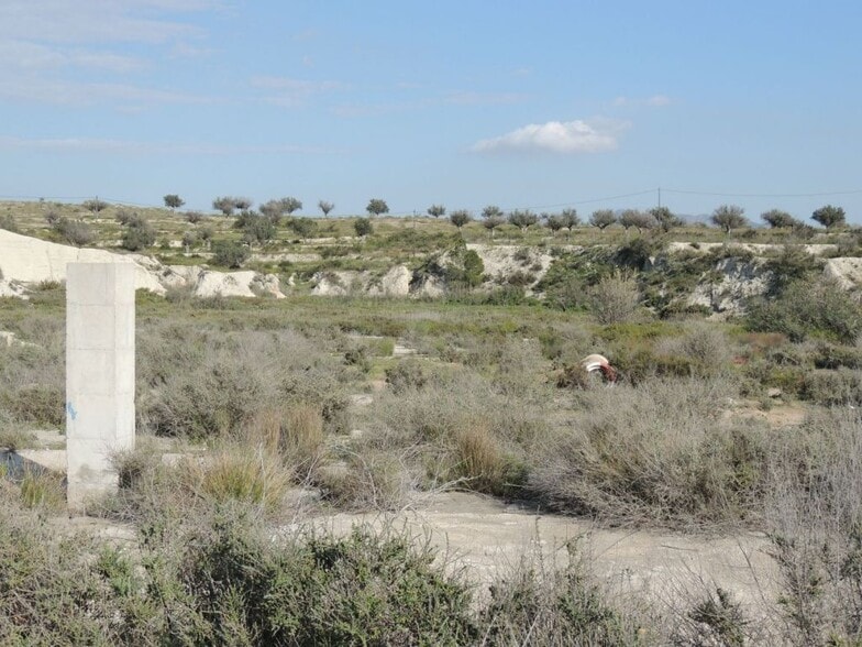 Terreno en Molina de Segura, Murcia en venta - Foto de la construcción - Imagen 2 de 5