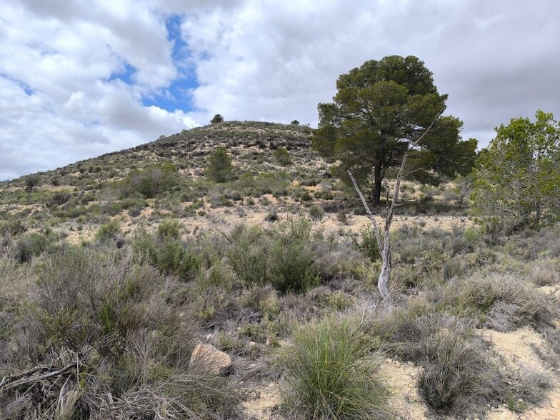 Terreno en PINOSO en venta - Foto del edificio - Imagen 2 de 9