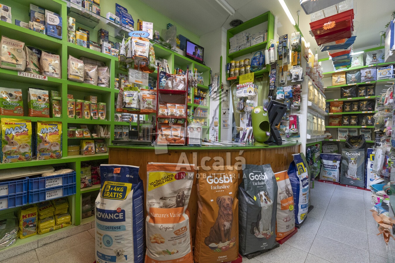 Coslada, MAD 28820 - - - Foto del interior - Image 2 of 7