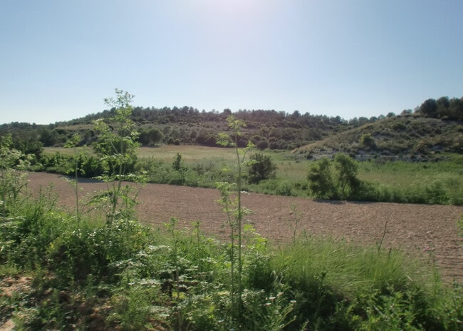 Más detalles de Terreno en venta