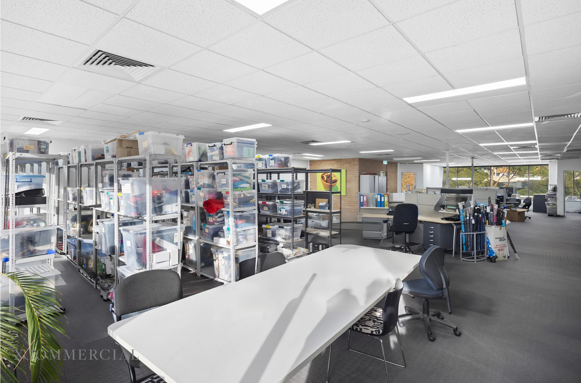 175 Lower Gibbes St, Roseville en alquiler Foto del interior- Imagen 1 de 3