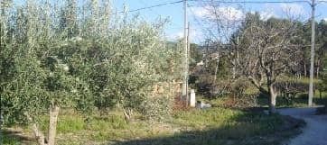 Más detalles de Terreno en venta