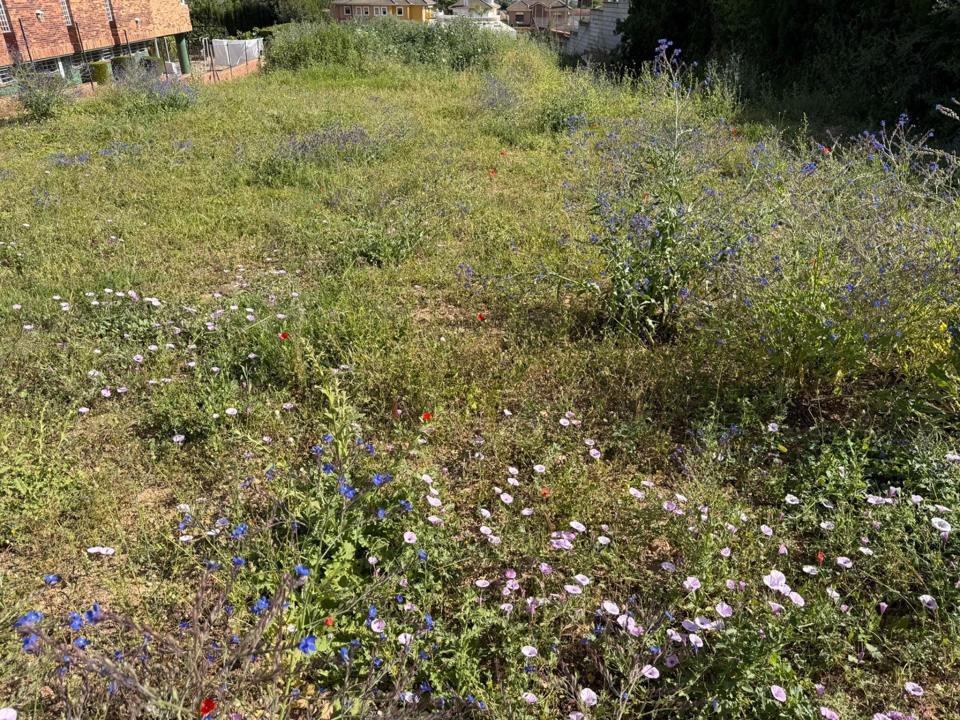 Terreno en Córdoba, Córdoba en venta Foto del edificio- Imagen 1 de 2