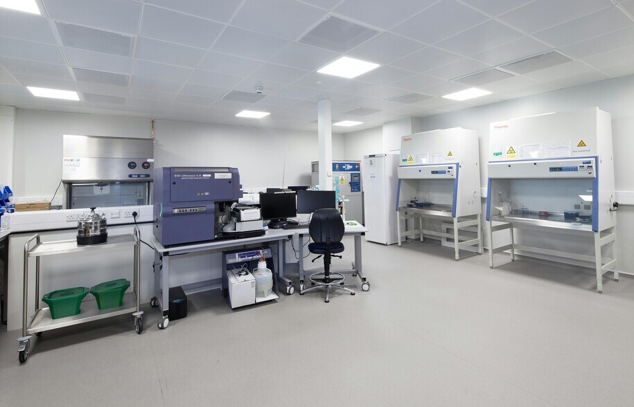 60 Jubilee Ave, Milton en alquiler - Foto del interior - Imagen 3 de 5