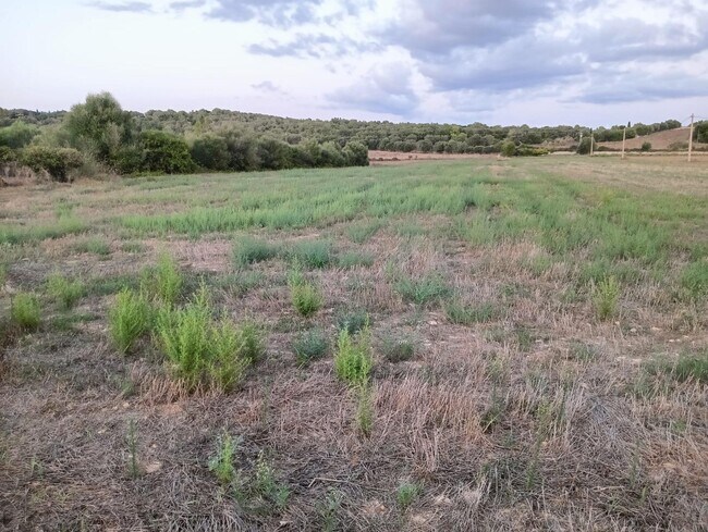 Más detalles de Terreno en venta