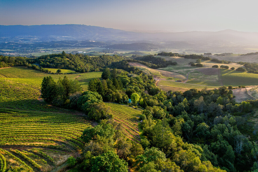 Atlas Peak Road, Napa, CA en venta - Foto principal - Imagen 1 de 1