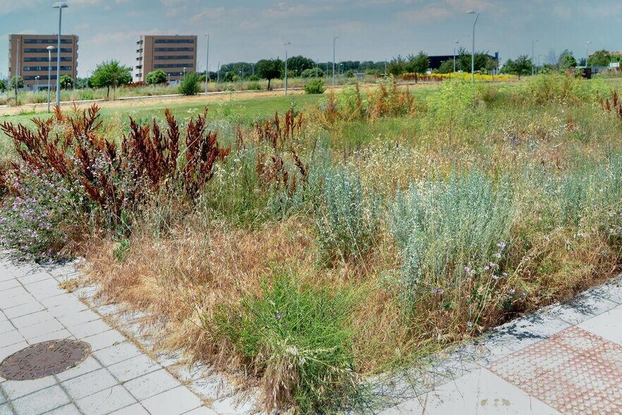 Terreno en León, León en venta - Foto principal - Imagen 3 de 11