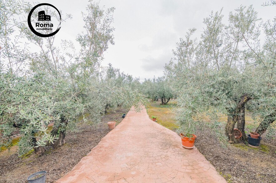 Terreno en Ogíjares, Granada en venta - Foto del edificio - Imagen 2 de 25