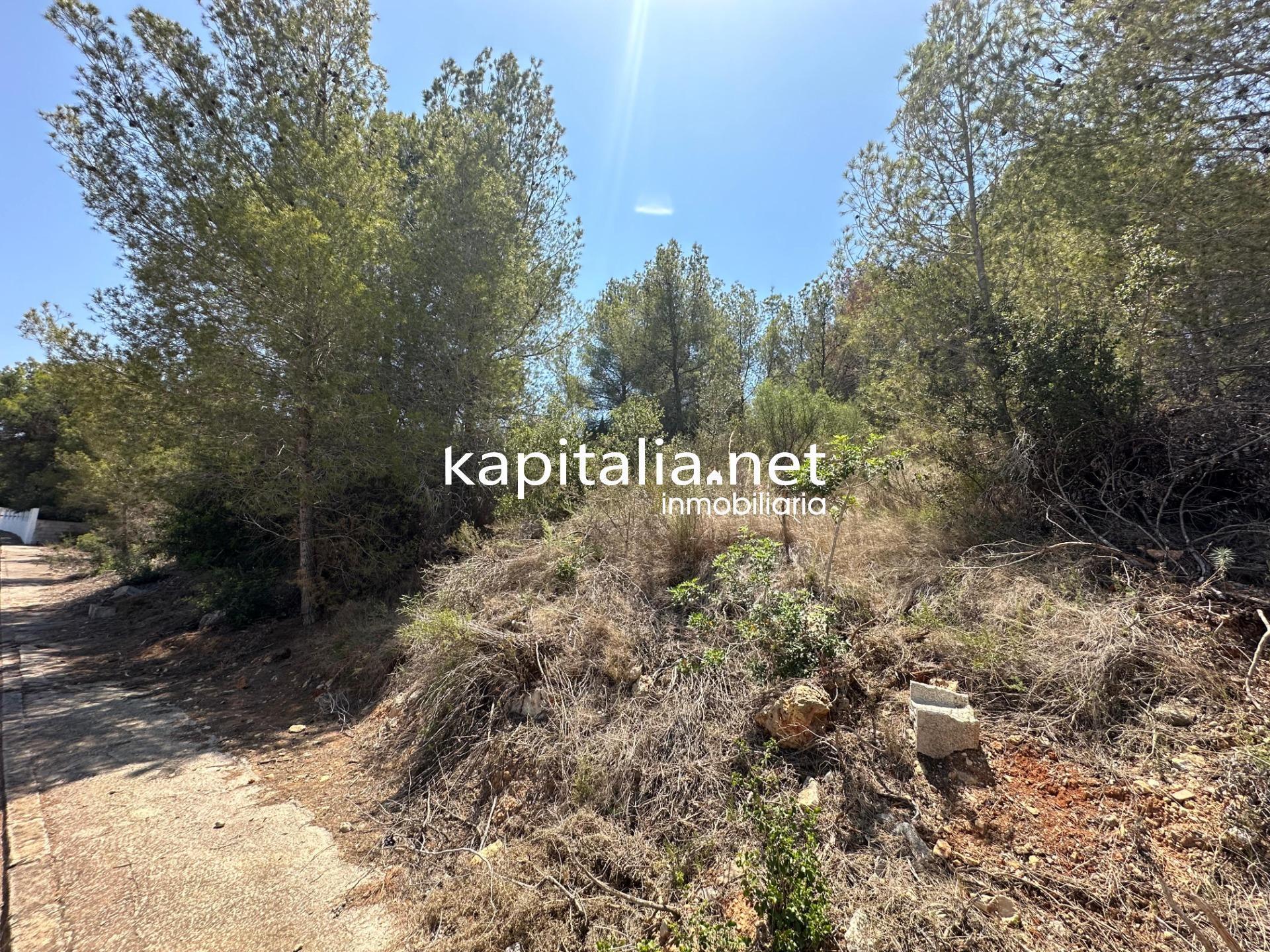 San Cristobal, De, Alberic, Urb, 757, Alberic, Valencia en venta Plano del sitio- Imagen 1 de 6