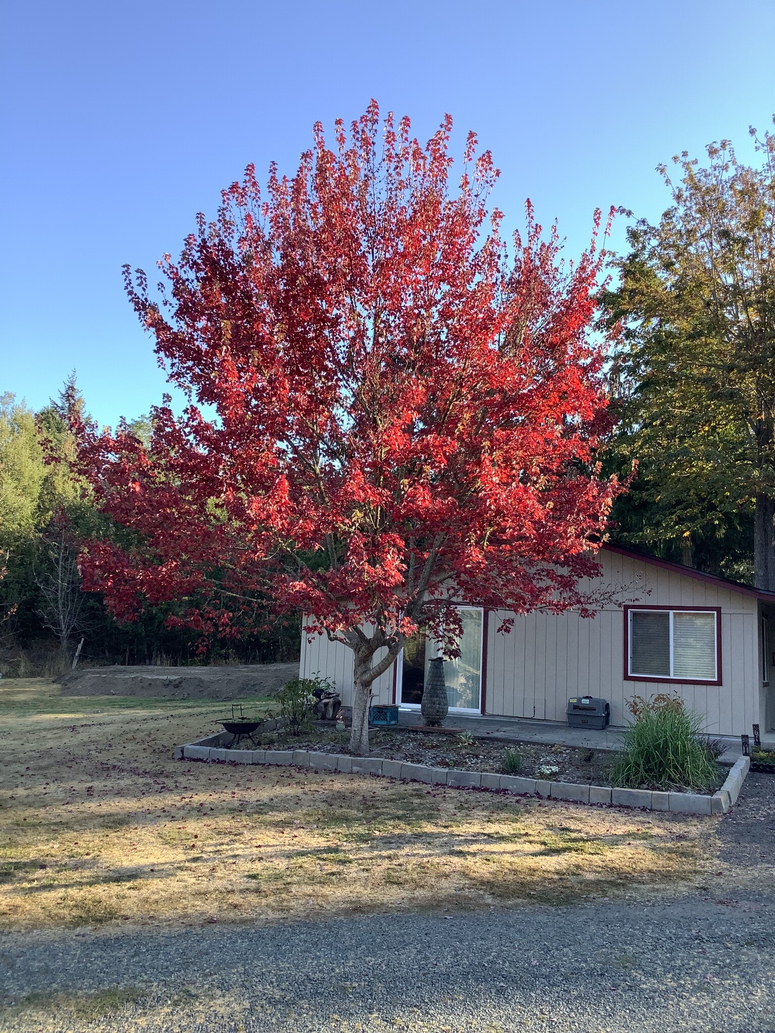 3102 Chicken Coop Rd, Sequim, WA en venta Foto del edificio- Imagen 1 de 24