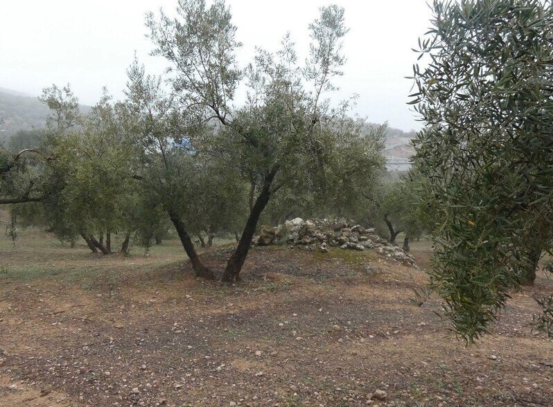 Terreno en Peligros, Granada en venta - Foto del edificio - Imagen 1 de 28