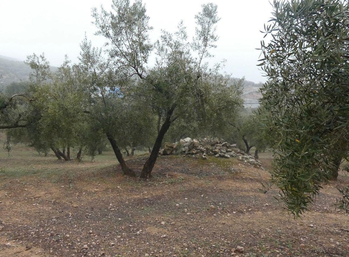Terreno en Peligros, Granada en venta Foto del edificio- Imagen 1 de 29