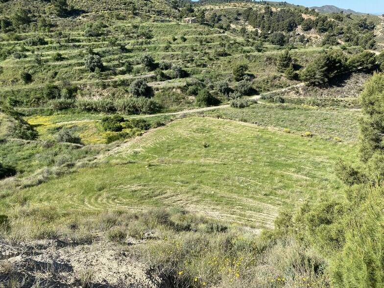 Lorca, S/N, Murcia, Murcia en venta - Plano del sitio - Imagen 3 de 10