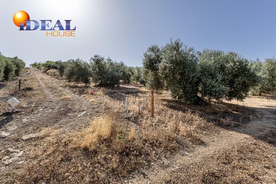 Poligono, 51-51, Montefrío, Granada en venta - Foto del edificio - Imagen 3 de 39