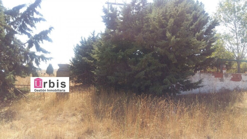 Terreno en Buenavista en venta - Foto del edificio - Imagen 2 de 3