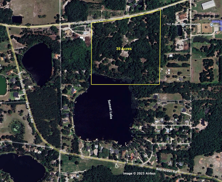 0000 Tarpon Springs Rd, Odessa, FL en venta - Vista aérea - Imagen 1 de 1