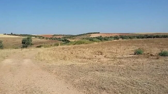 Más detalles de Polig. 1, R-5 Cañadilla – Terreno en venta, Villanueva de la Torre