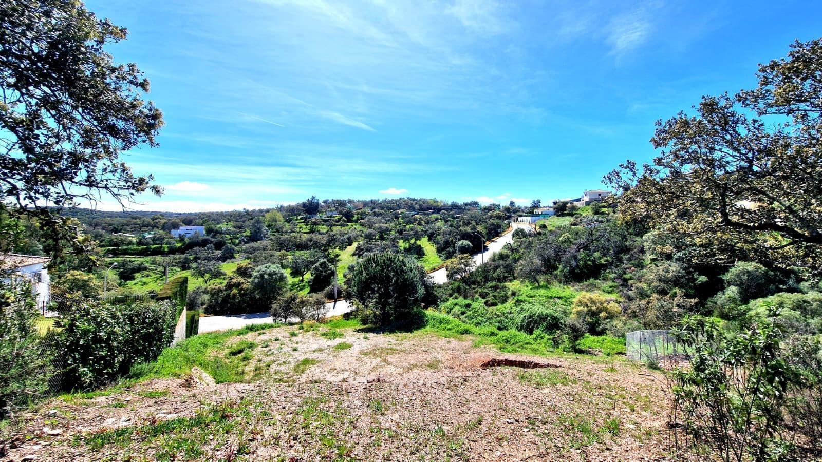 Calle Osuna, 6, Guillena, Sevilla en venta Foto principal- Imagen 1 de 1