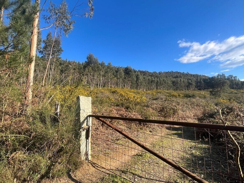 Acevedo, Oia, Pontevedra en venta - Foto del edificio - Imagen 3 de 42