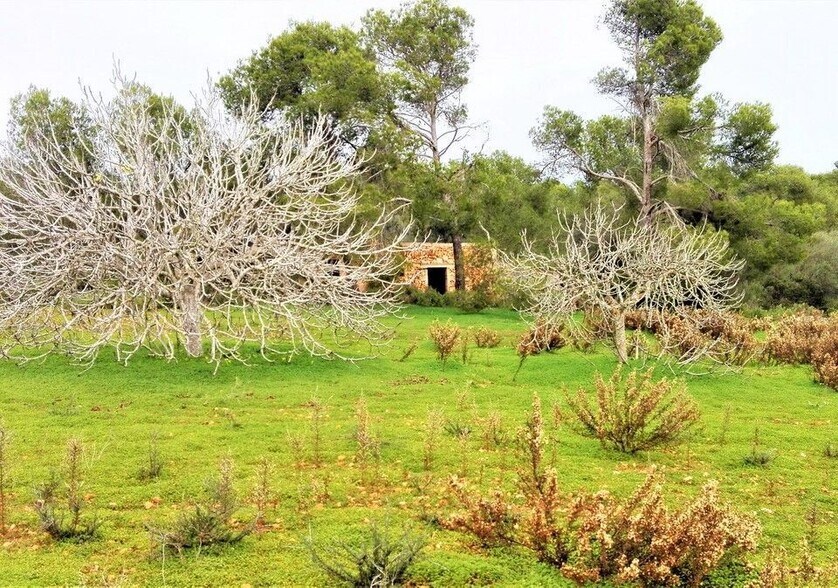 Terreno en Santanyí, Islas Baleares en venta - Foto principal - Imagen 3 de 7