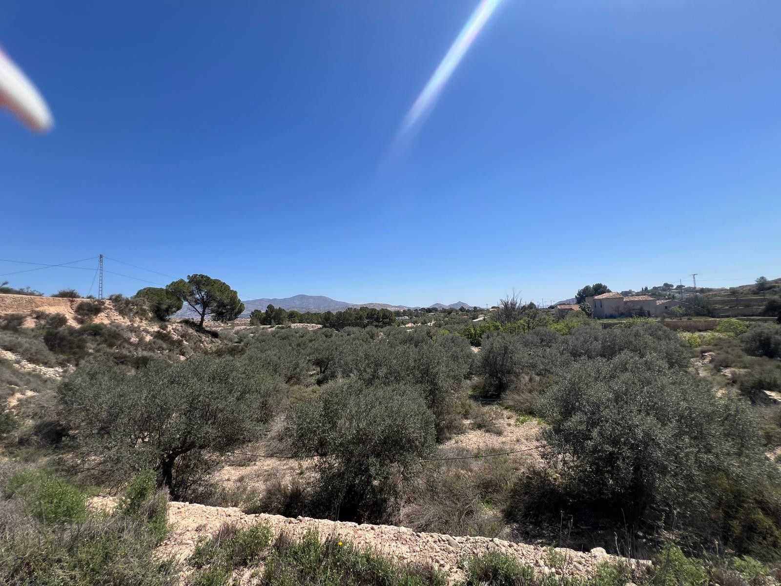 Terreno en MONÒVER en venta Foto del edificio- Imagen 1 de 8