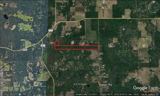 Más detalles para 00 Batten Rd, Brooksville, FL - Terrenos en venta