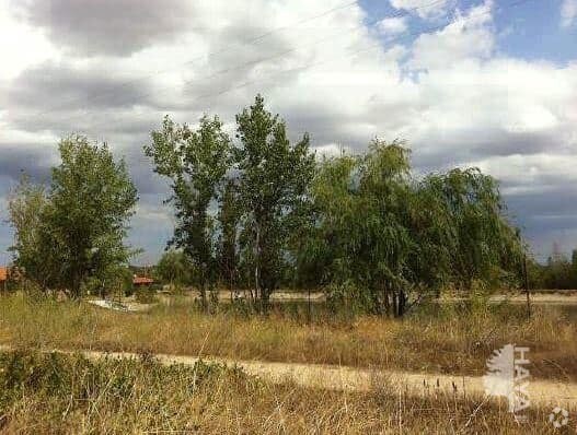 Lugar Olivar Grande, Escalona, Toledo en venta - Foto principal - Imagen 1 de 1