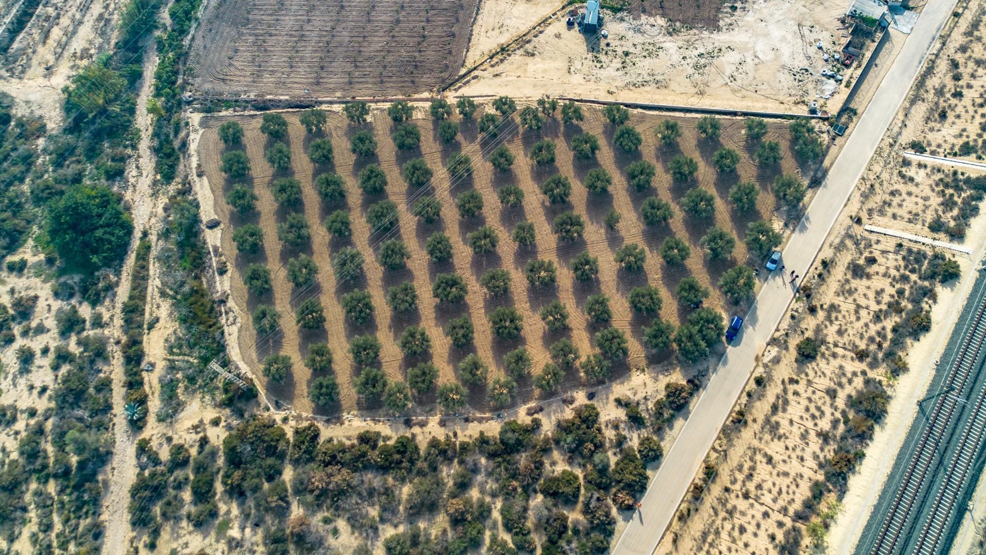 Parcela, 16, Crevillent, Alicante en venta Vista aérea- Imagen 1 de 8