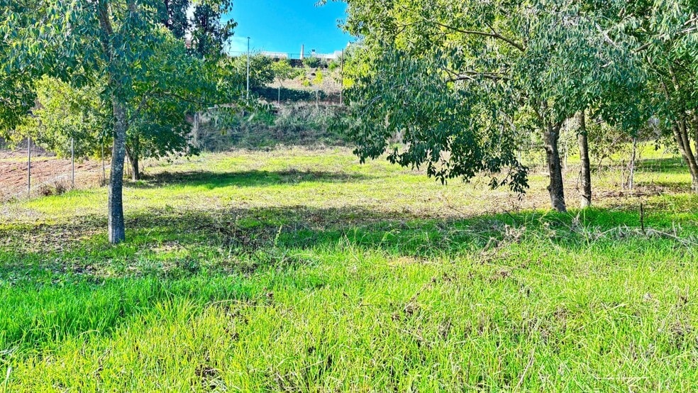 Calle Saldaña, 22A, Córdoba, Córdoba en venta - Foto del edificio - Imagen 2 de 5