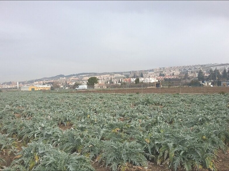 Terreno en Granada, Granada en venta - Vista aérea - Imagen 1 de 9