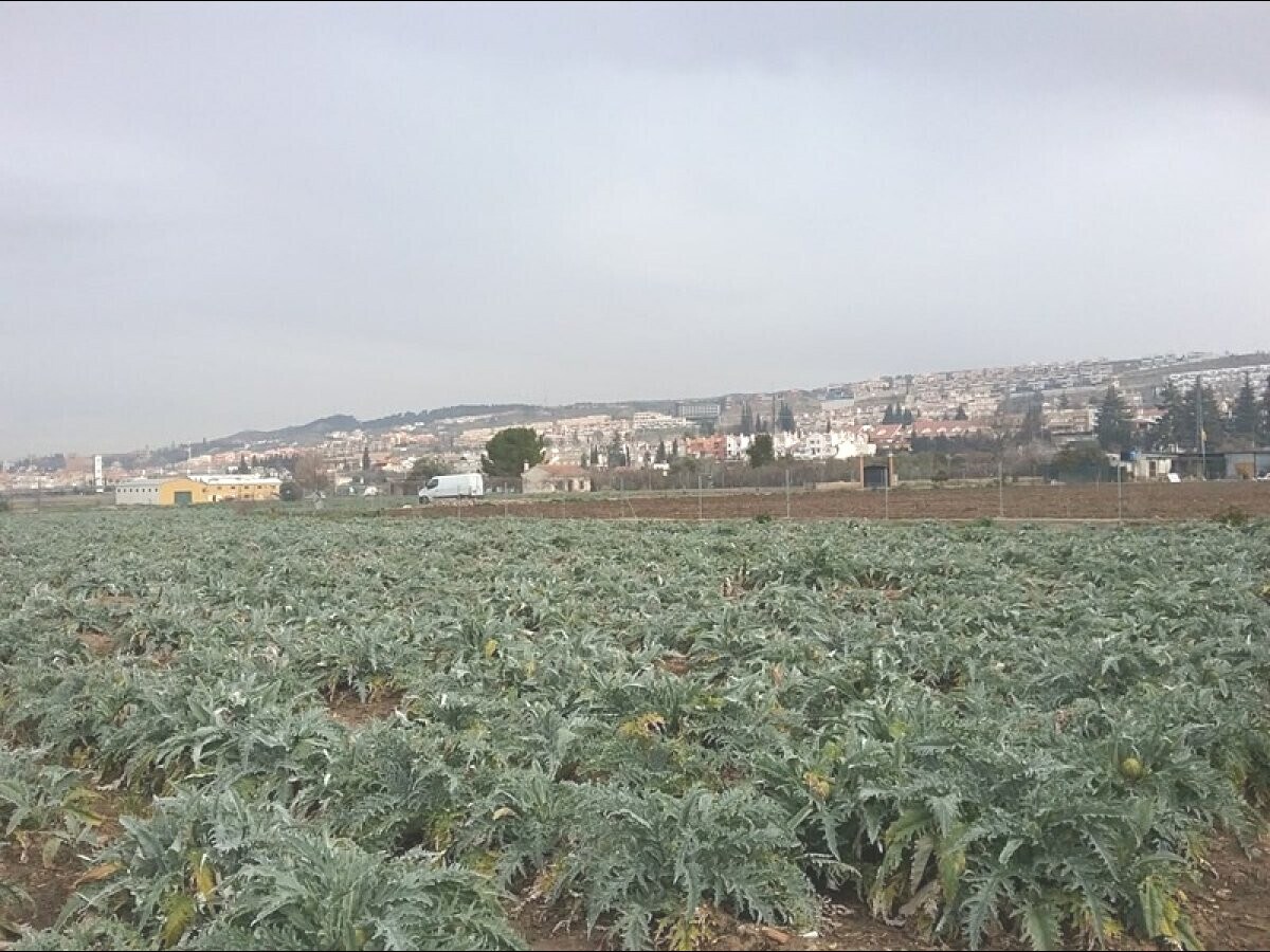 Terreno en Granada, Granada en venta Vista aérea- Imagen 1 de 10