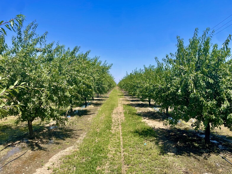 Whitworth rd, Gustine, CA en venta - Otros - Imagen 2 de 9