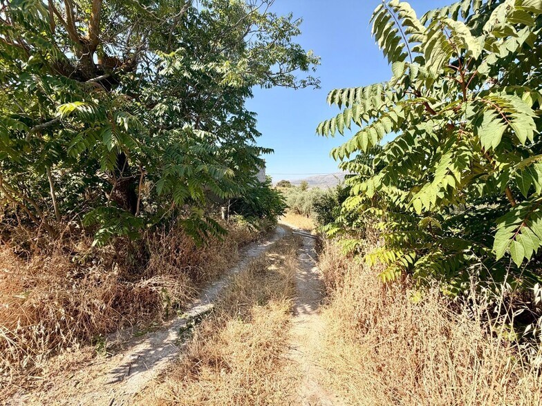 Terreno en Salar en venta - Foto del edificio - Imagen 3 de 35