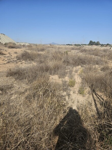 Terreno en Molina de Segura en venta - Foto del edificio - Imagen 3 de 7