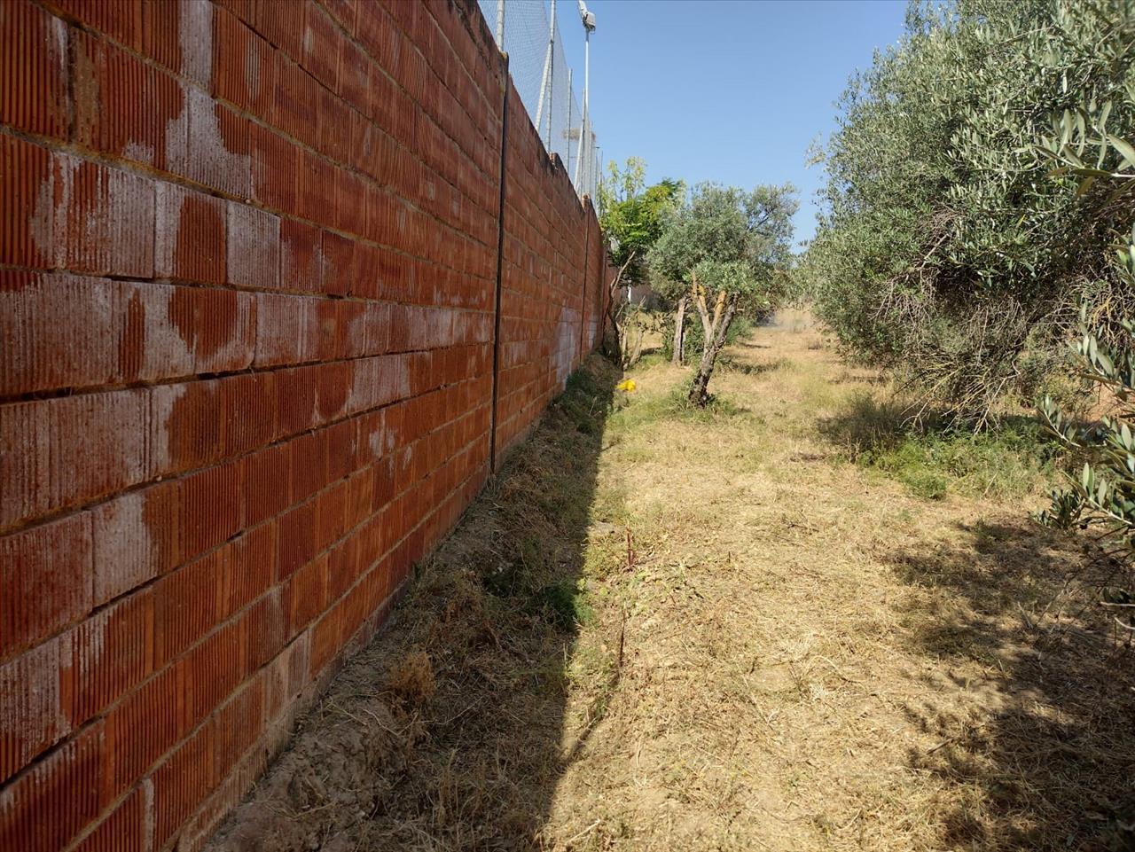 Terreno en Pilas en venta Foto del edificio- Imagen 1 de 18