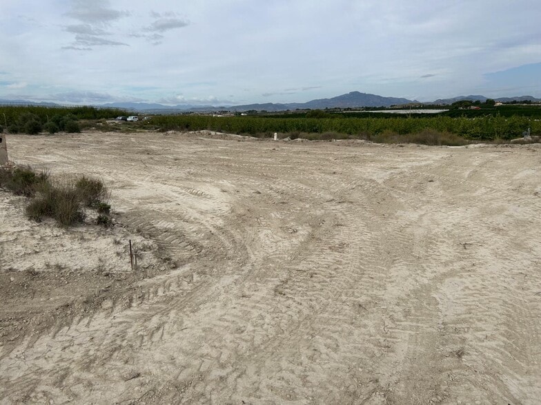Terreno en Molina de Segura, Murcia en venta - Foto del edificio - Imagen 2 de 9