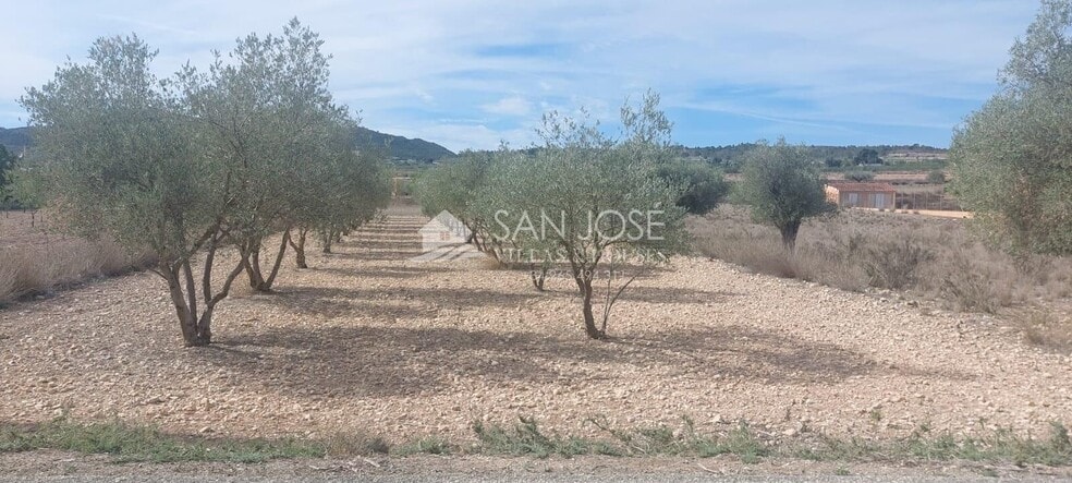 Terreno en Hondón de los Frailes, Alicante en venta - Foto principal - Imagen 1 de 2