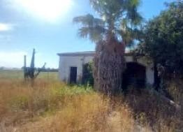 Nave en Los Palacios y Villafranca en venta - Foto del edificio - Imagen 3 de 4
